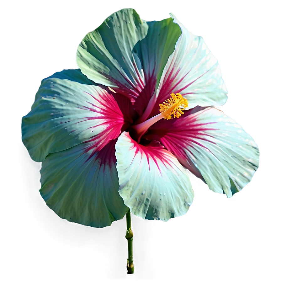 Tropical Hibiscus Png 05232024 PNG Image