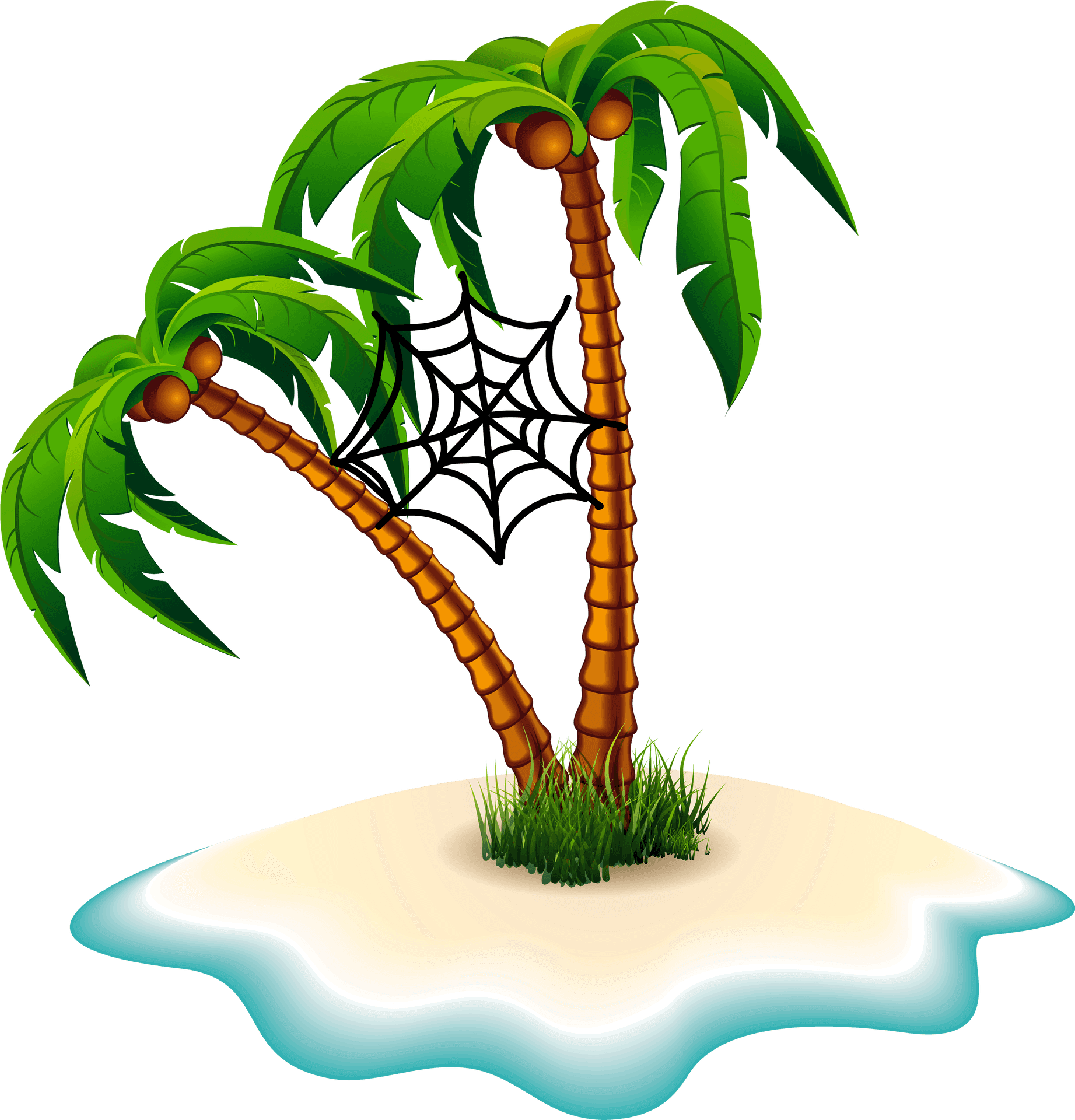 Tropical Island Palm Trees Spider Web PNG Image