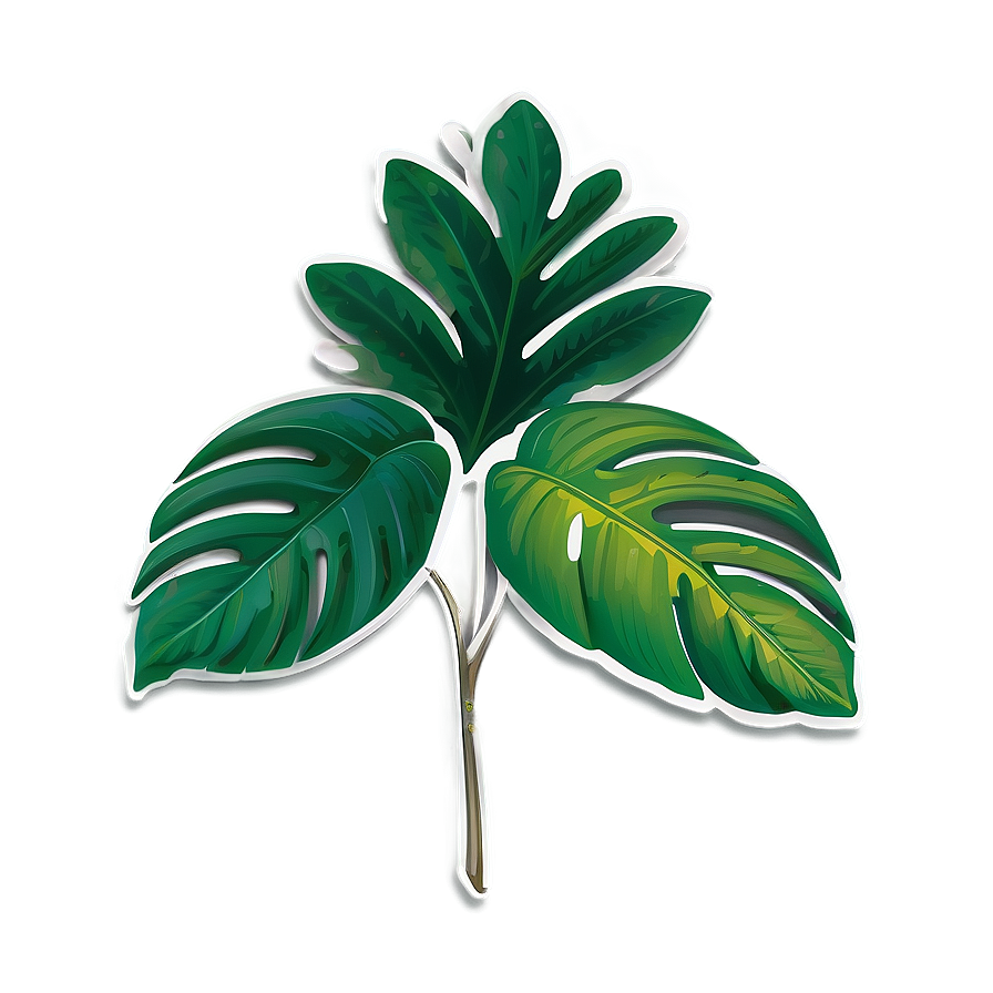 Tropical Leaf Branding Png 06122024 PNG Image