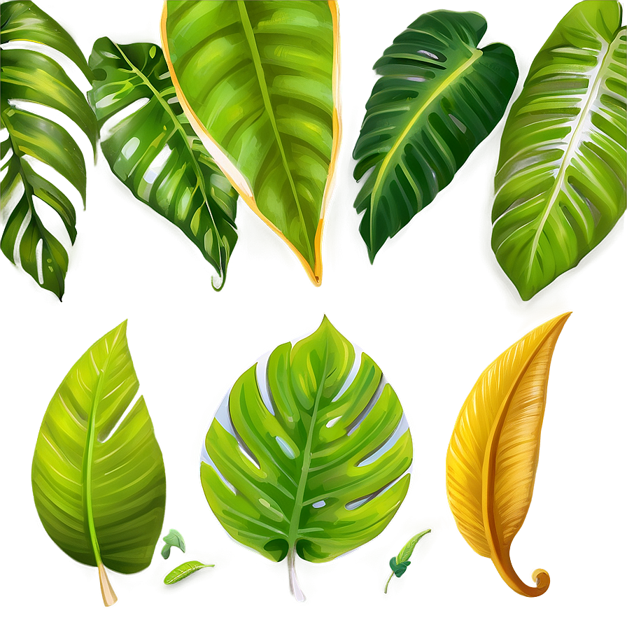 Tropical Leaf C PNG Image