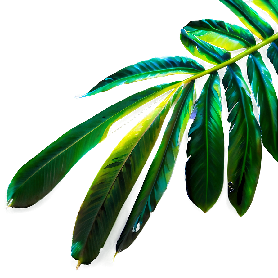 Tropical Leaf Collection Png Gkl64 PNG Image