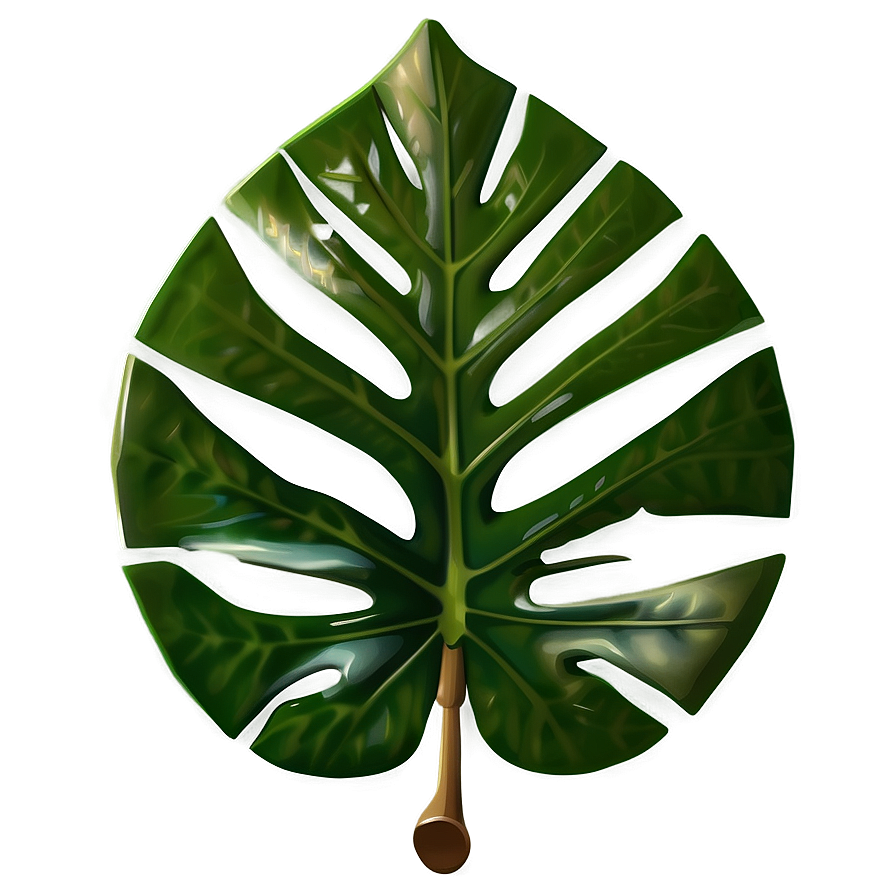 Tropical Leaf Overlay Png Aon41 PNG Image