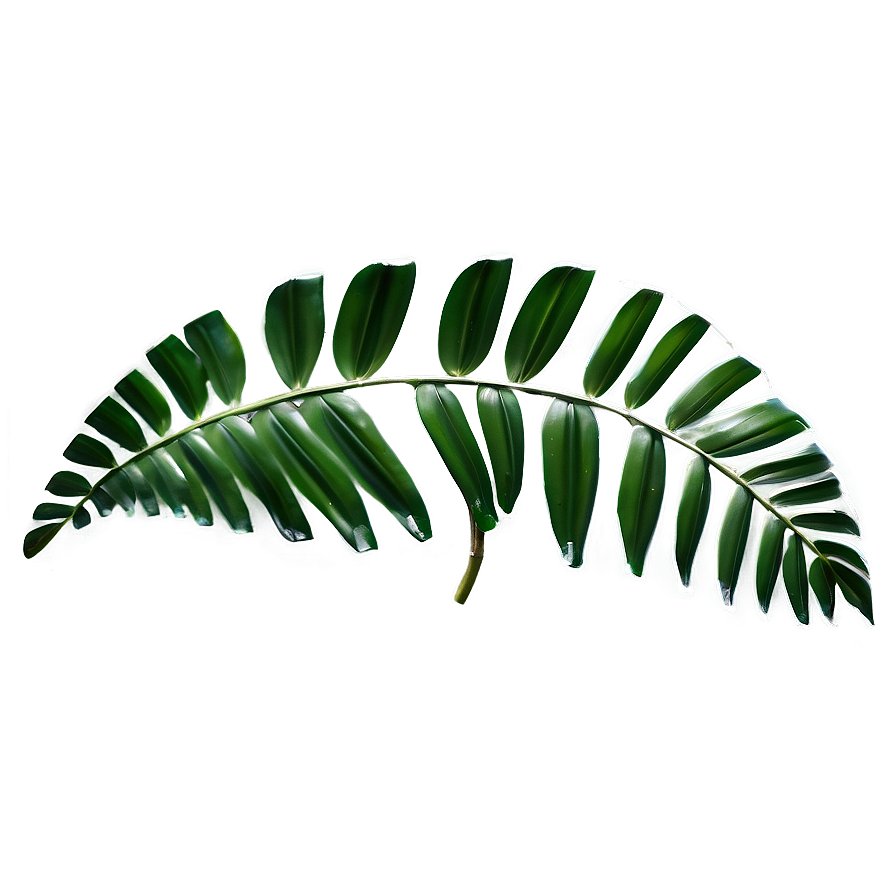 Tropical Leaf Transparency Png Cer PNG Image