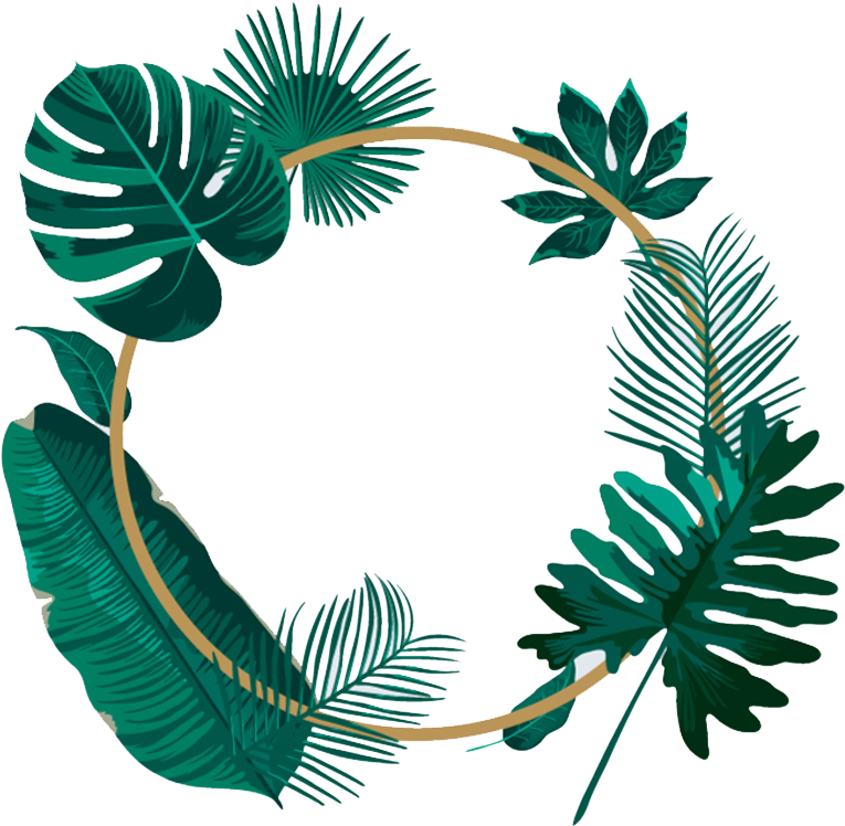 Tropical_ Leaves_ Circle_ Frame.png PNG Image