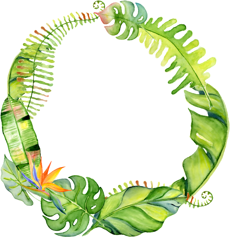 Tropical Leaves Circle Watercolor PNG Image