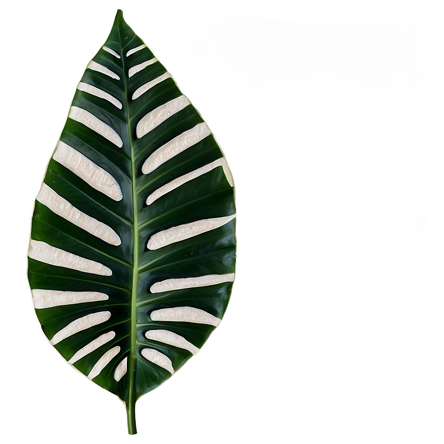 Tropical Leaves Png 18 PNG Image