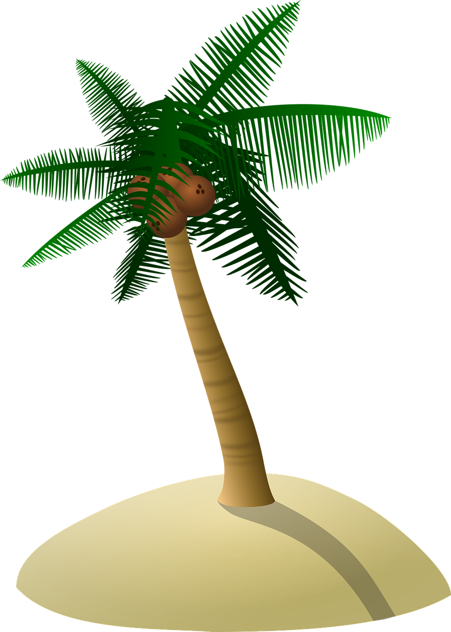 Tropical Palm Island Illustration PNG Image