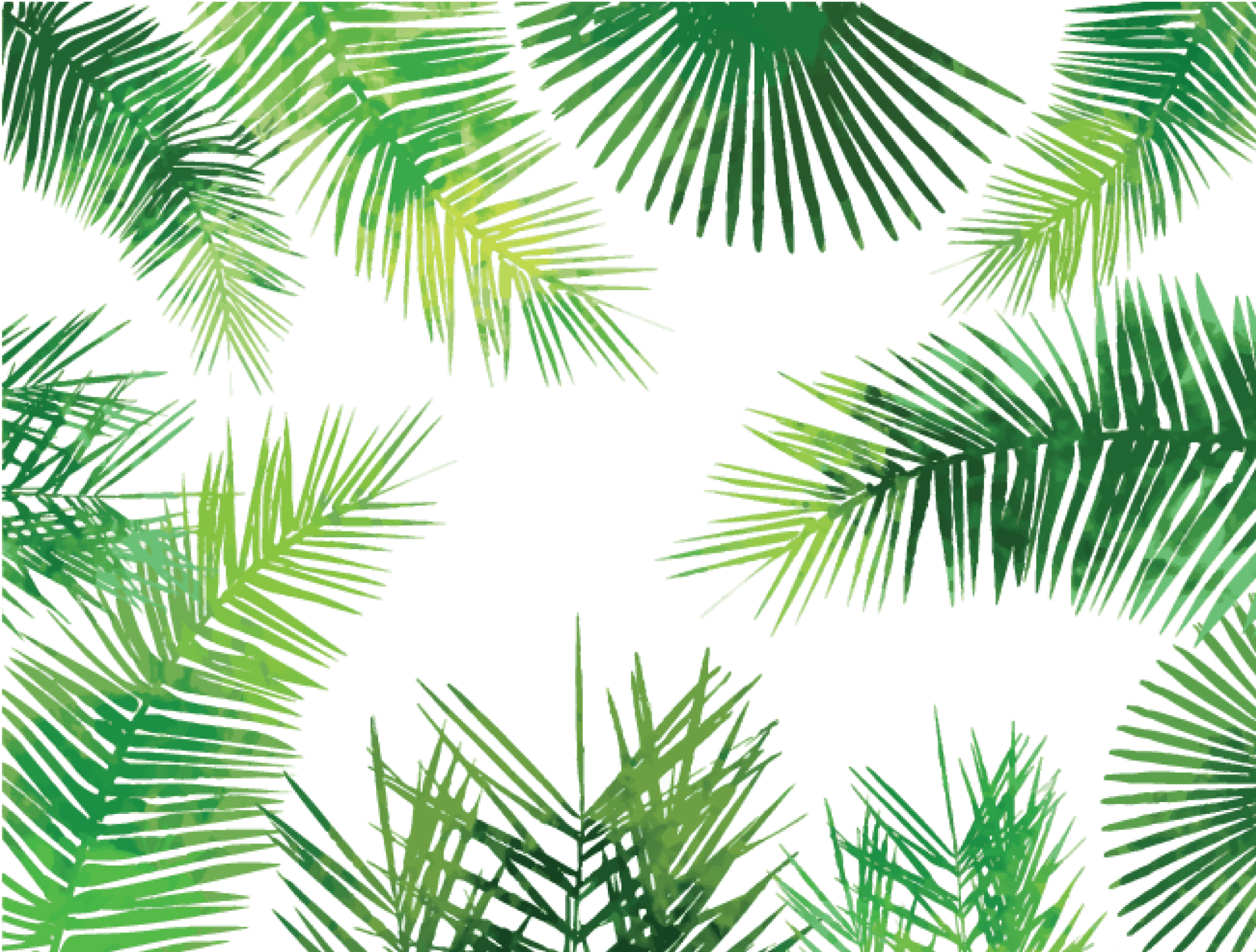 Tropical Palm Leaves Pattern PNG Image