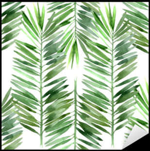 Tropical Palm Leaves Pattern PNG Image