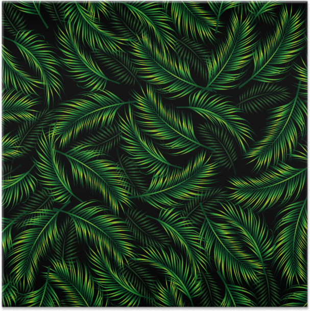 Tropical Palm Leaves Pattern PNG Image