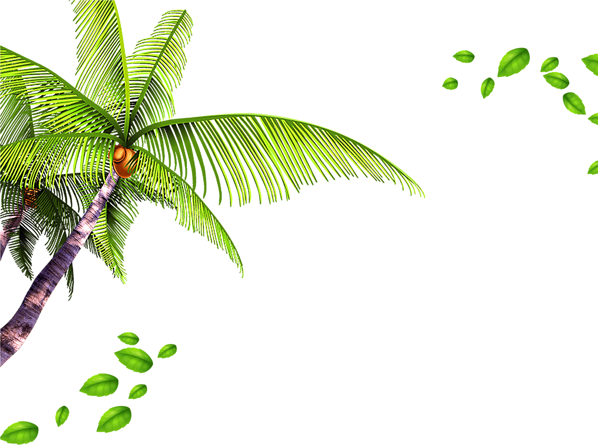 Tropical Palm Leaves Transparent Background PNG Image