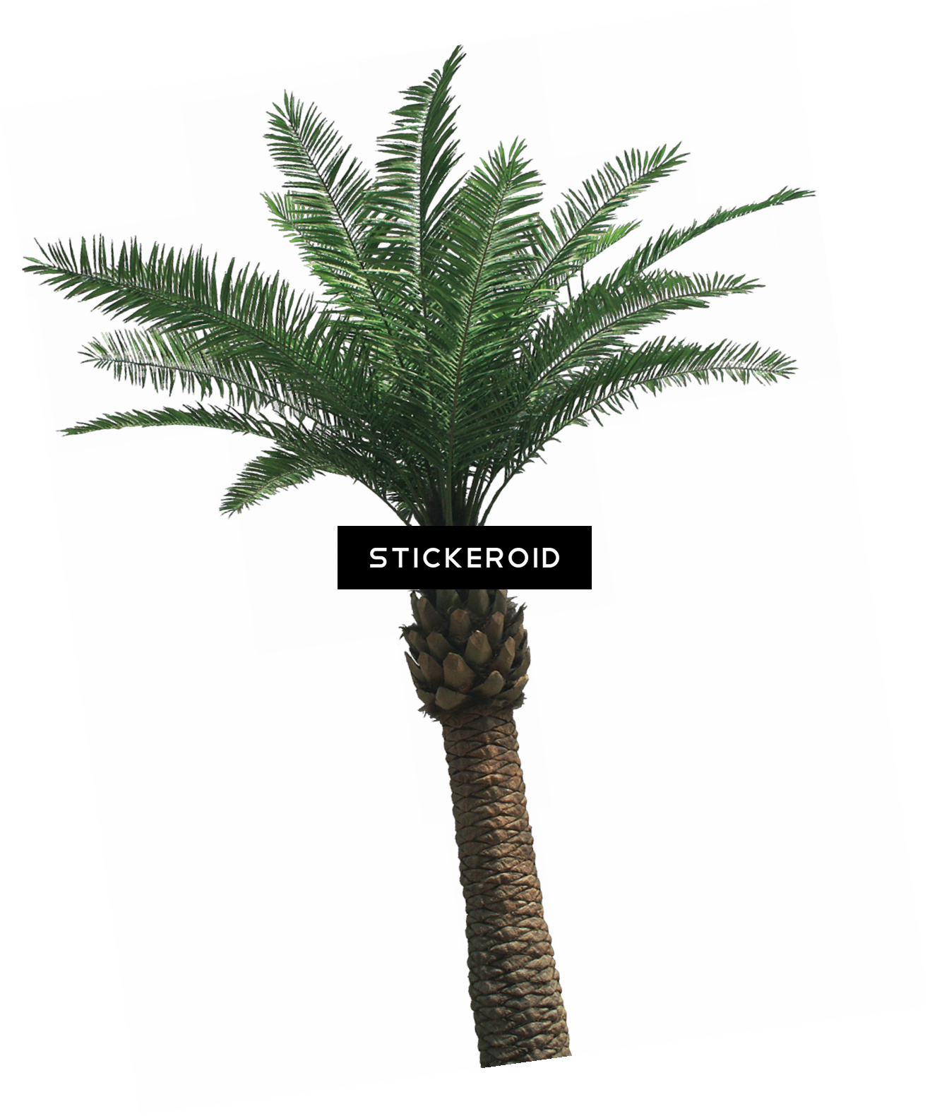 Tropical Palm Tree Artistic Background PNG Image