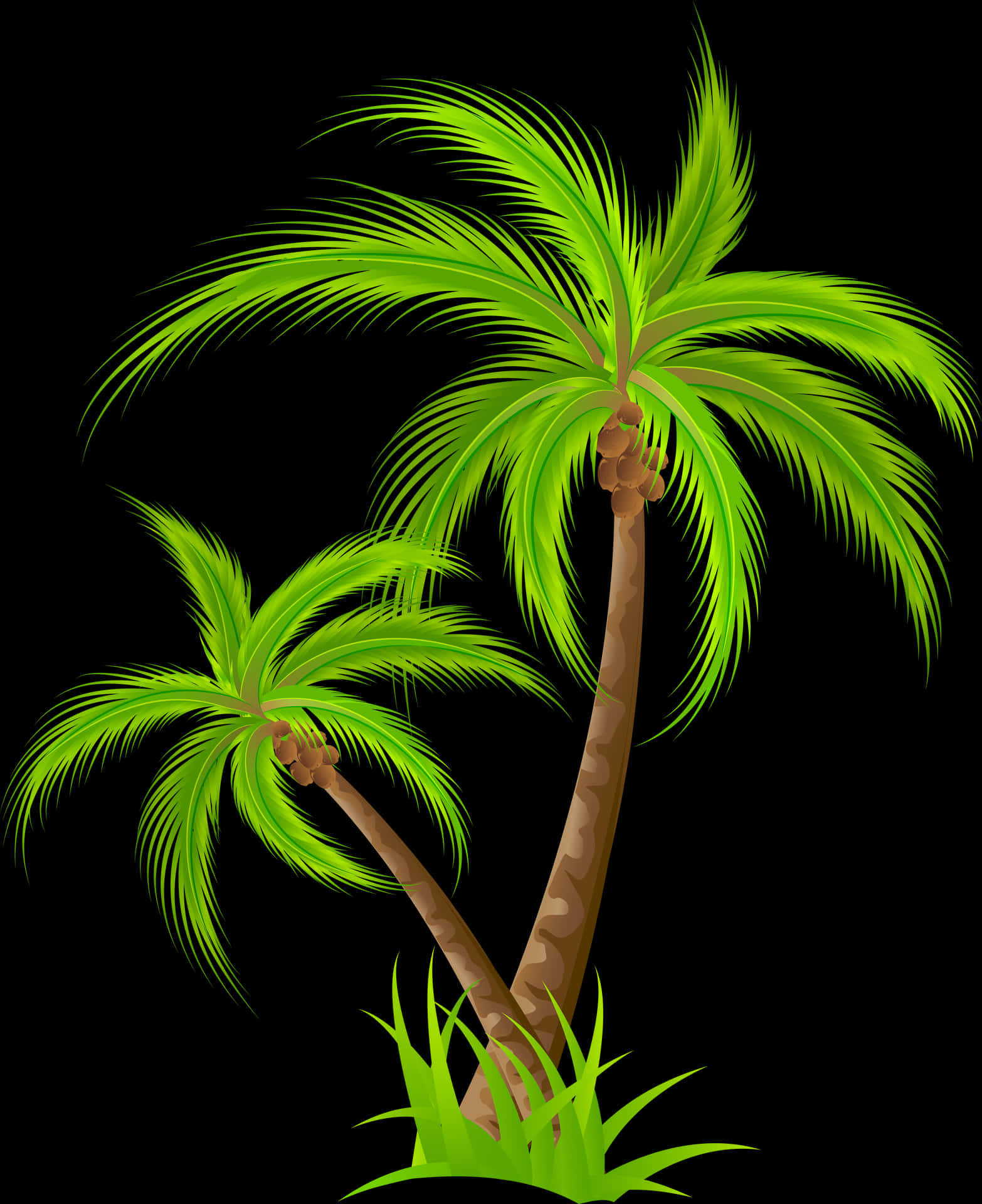 Tropical Palm Trees Illustration PNG Image