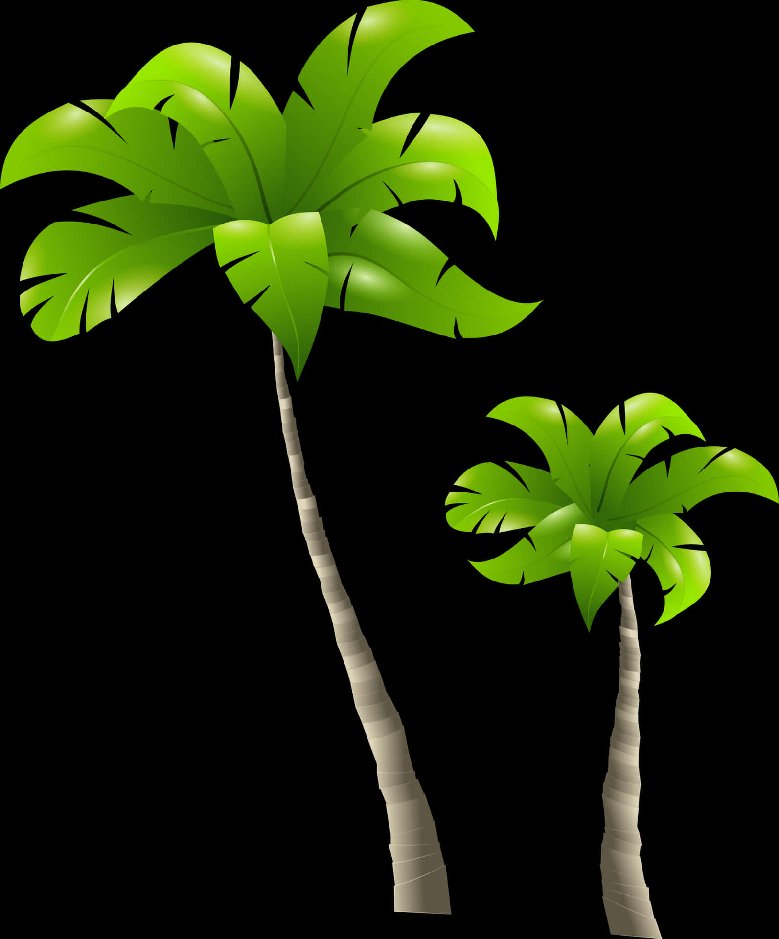 Tropical Palm Trees Illustration PNG Image