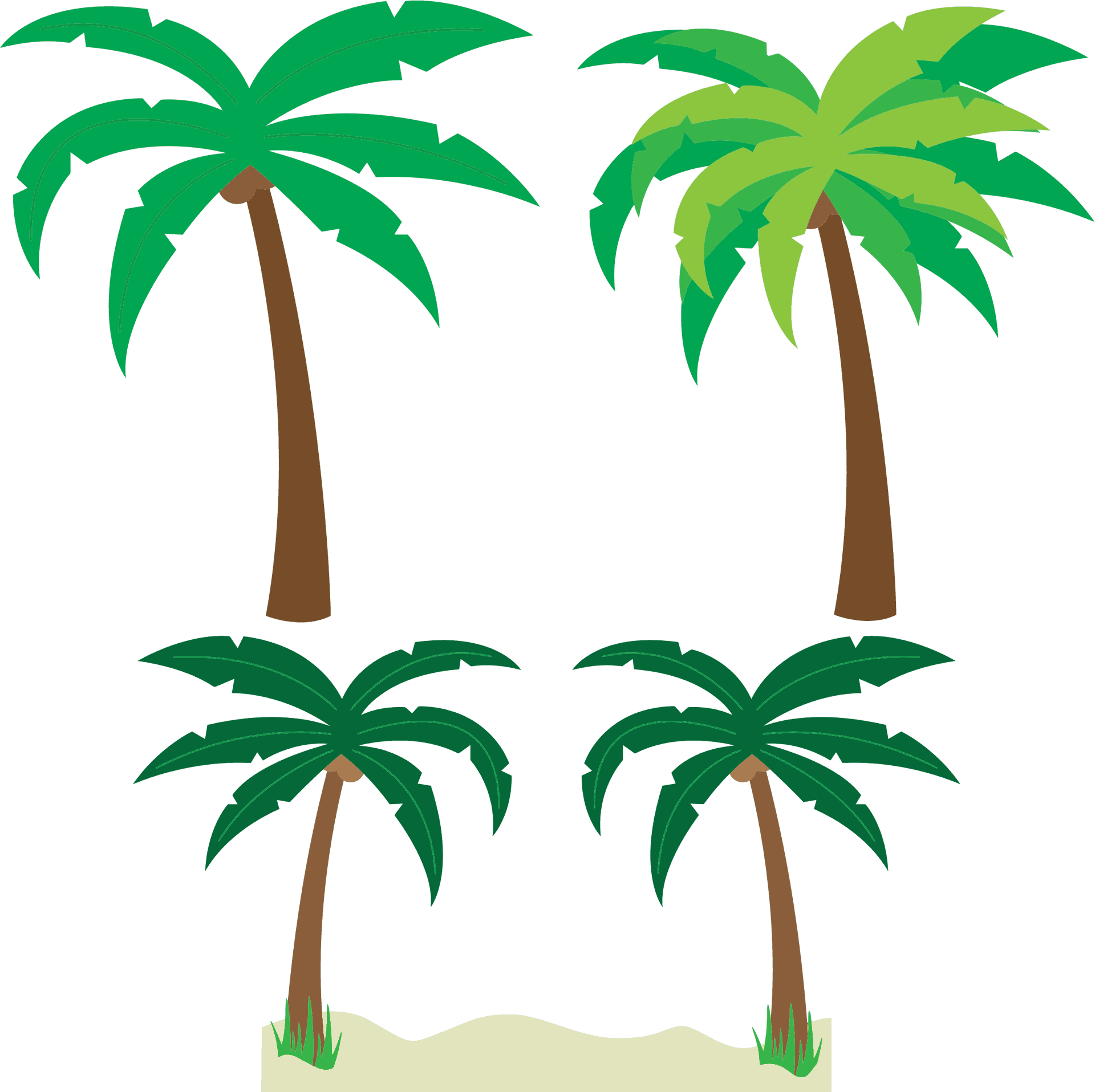 Tropical Palm Trees Vector PNG Image