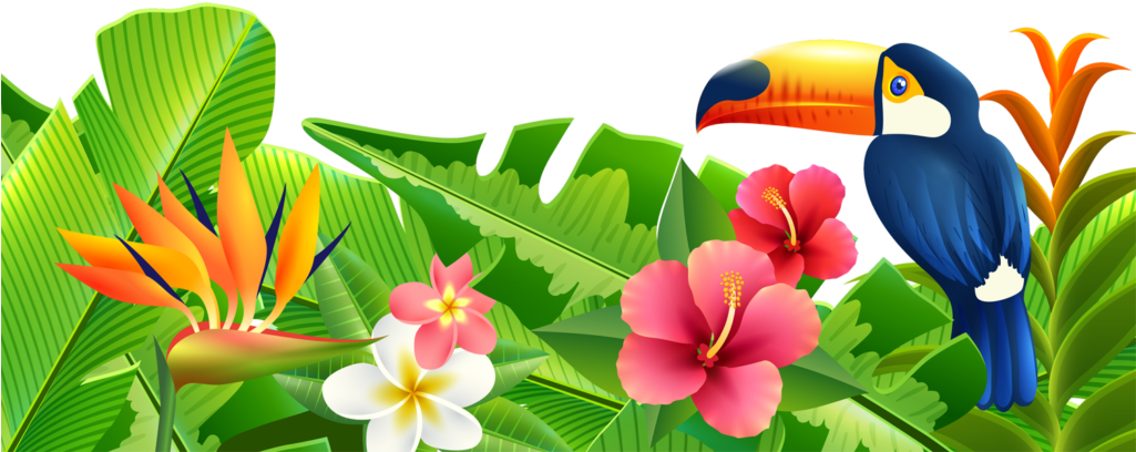 Tropical Paradise Summer Scene PNG Image