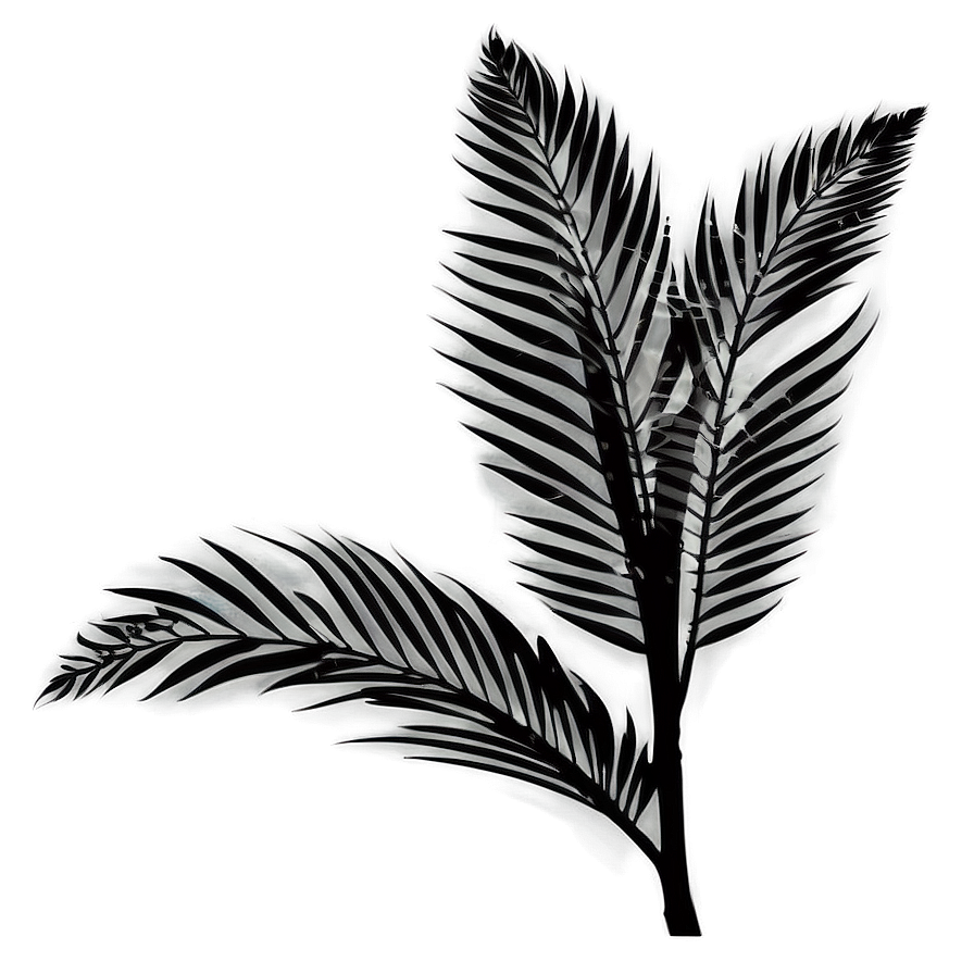 Tropical Plant Silhouette Png Ldq46 PNG Image