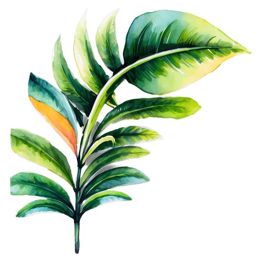 Tropical Plant Watercolor Png 13 PNG Image