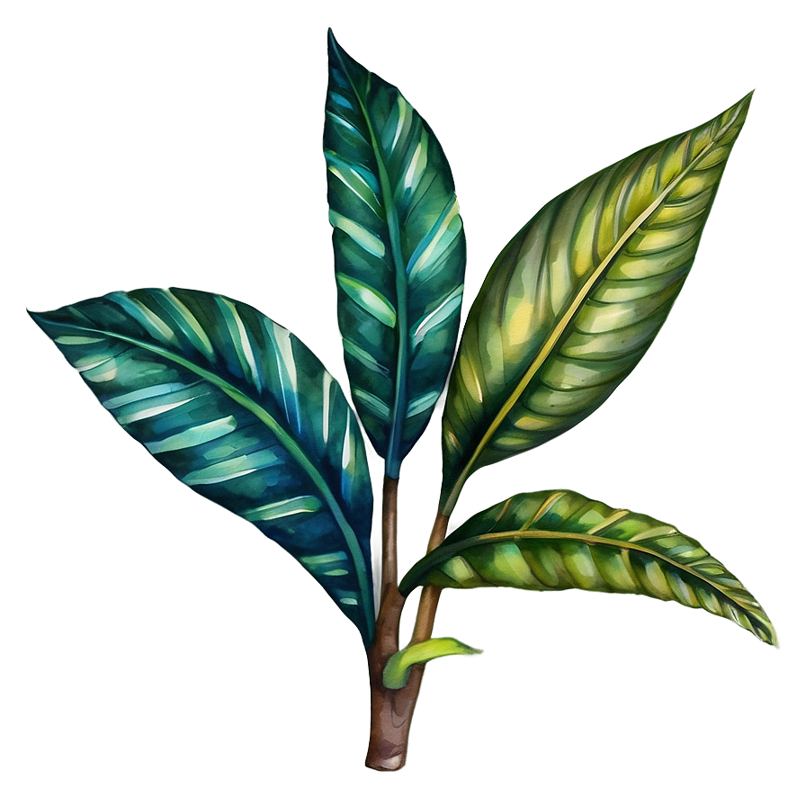 Tropical Plant Watercolor Png Aom PNG Image