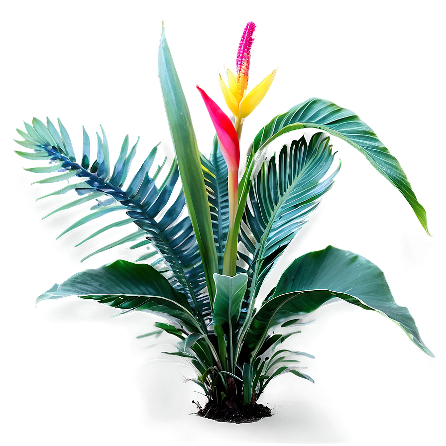 Tropical Plants Png Hov99 PNG Image