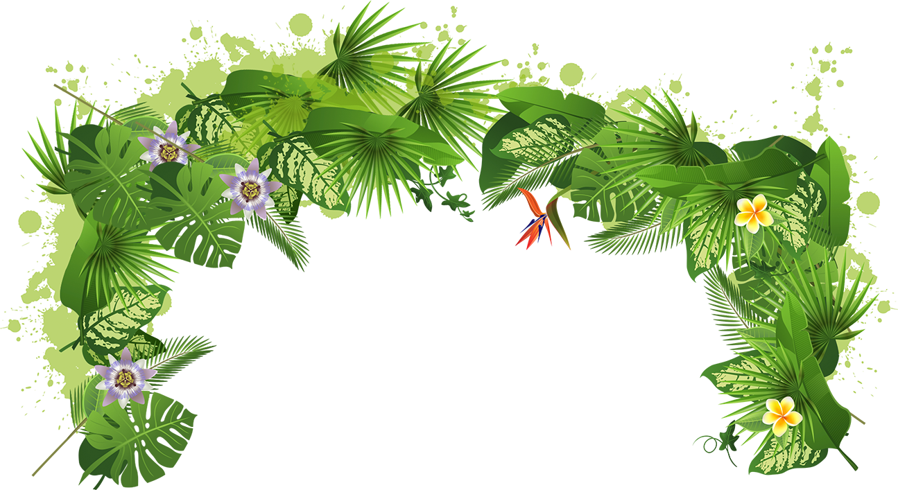 Tropical Rainforest Floraand Fauna PNG Image