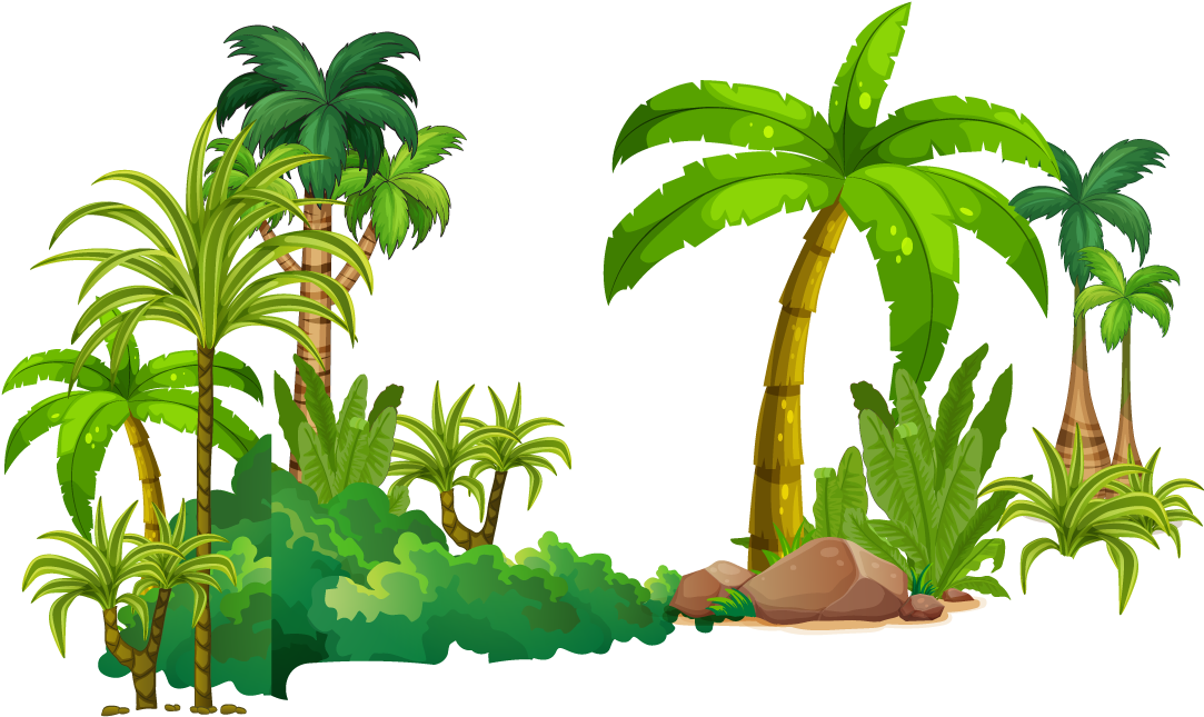 Tropical Rainforest Vegetation PNG Image