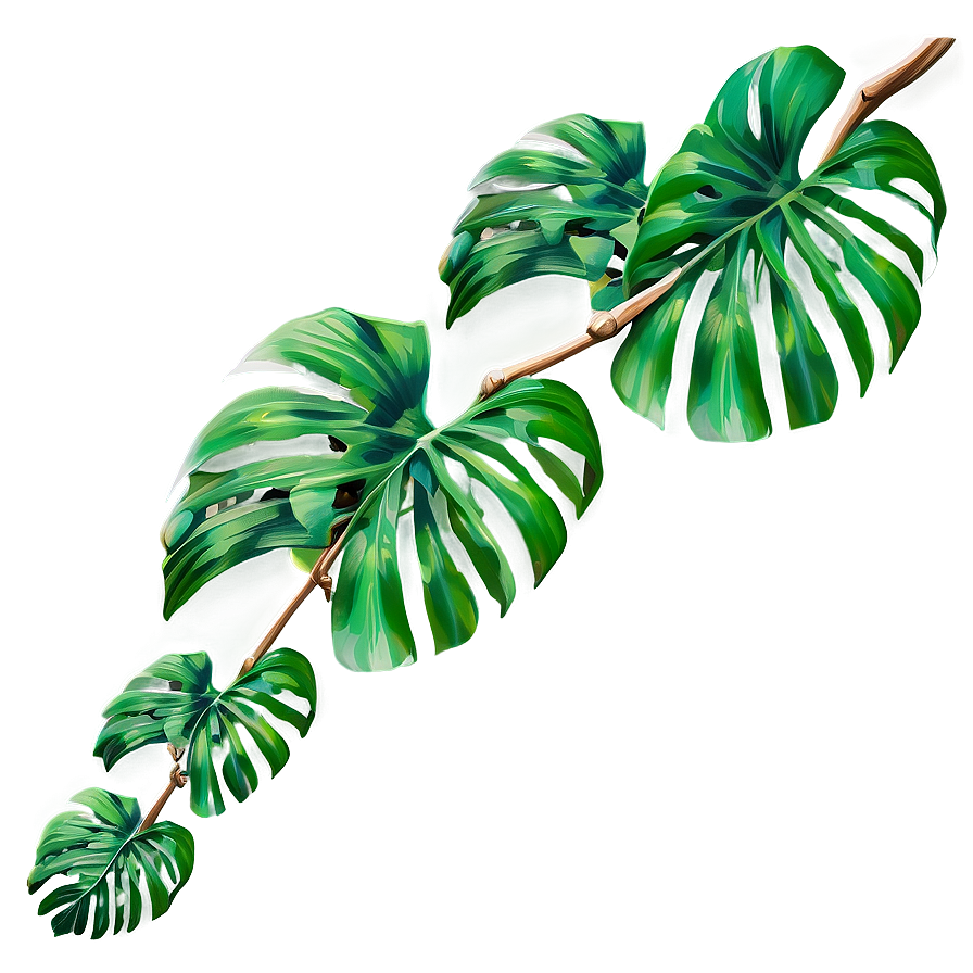 Tropical Rainforest Vine Png 05042024 PNG Image