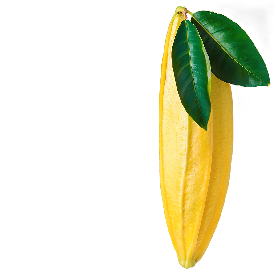 Tropical Star Fruit Png Wye PNG Image