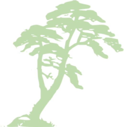 Tropical_ Tree_ Silhouette PNG Image