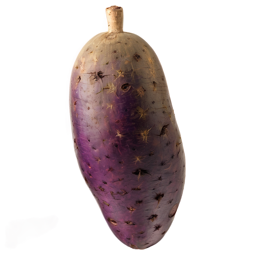 Tuber Botanical Study Png Hqd32 PNG Image