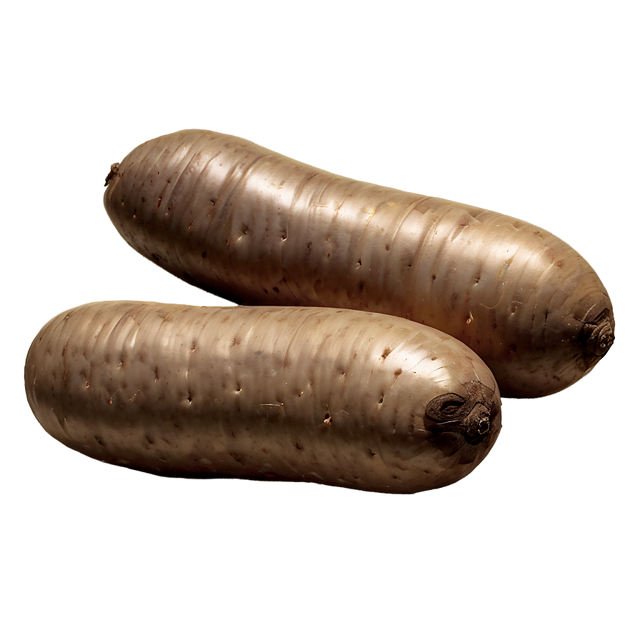 Tuber D PNG Image