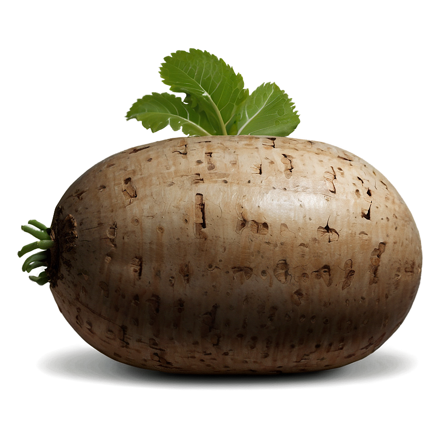 Tuber Icon Png 05252024 PNG Image