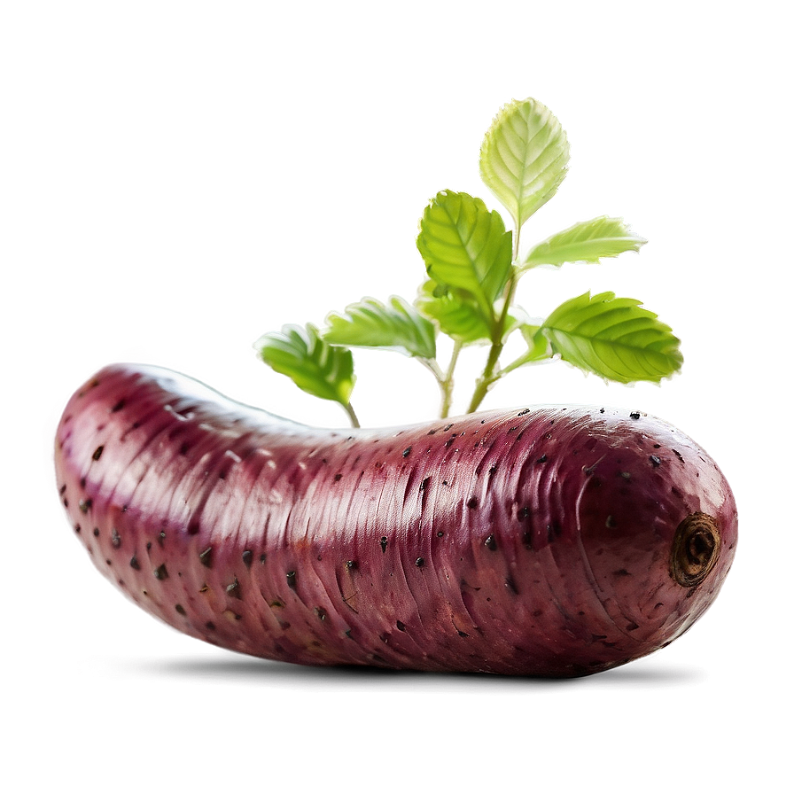 Tuber Macro Photography Png Ewk PNG Image