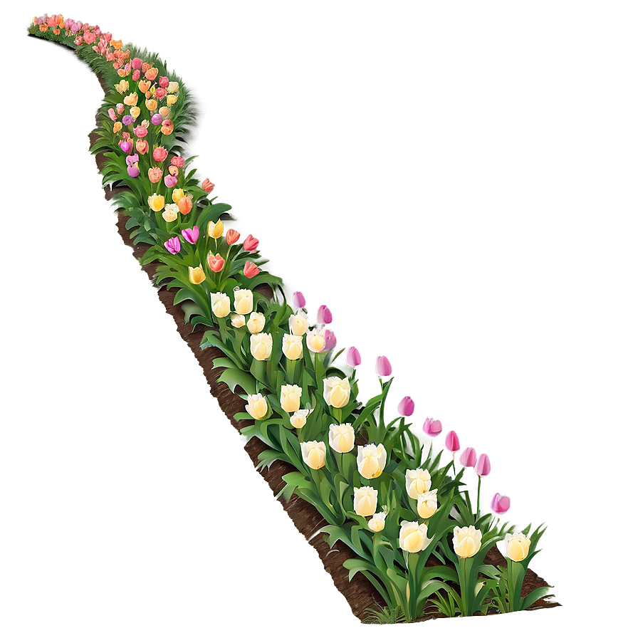 Tulips Pathway Png Psx PNG Image