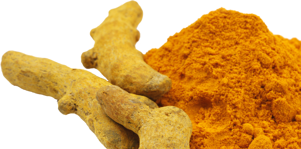 Turmeric Rootsand Powder PNG Image