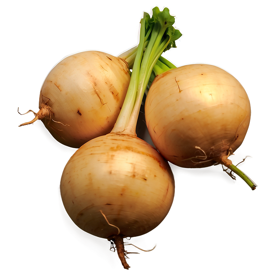 Turnip C PNG Image