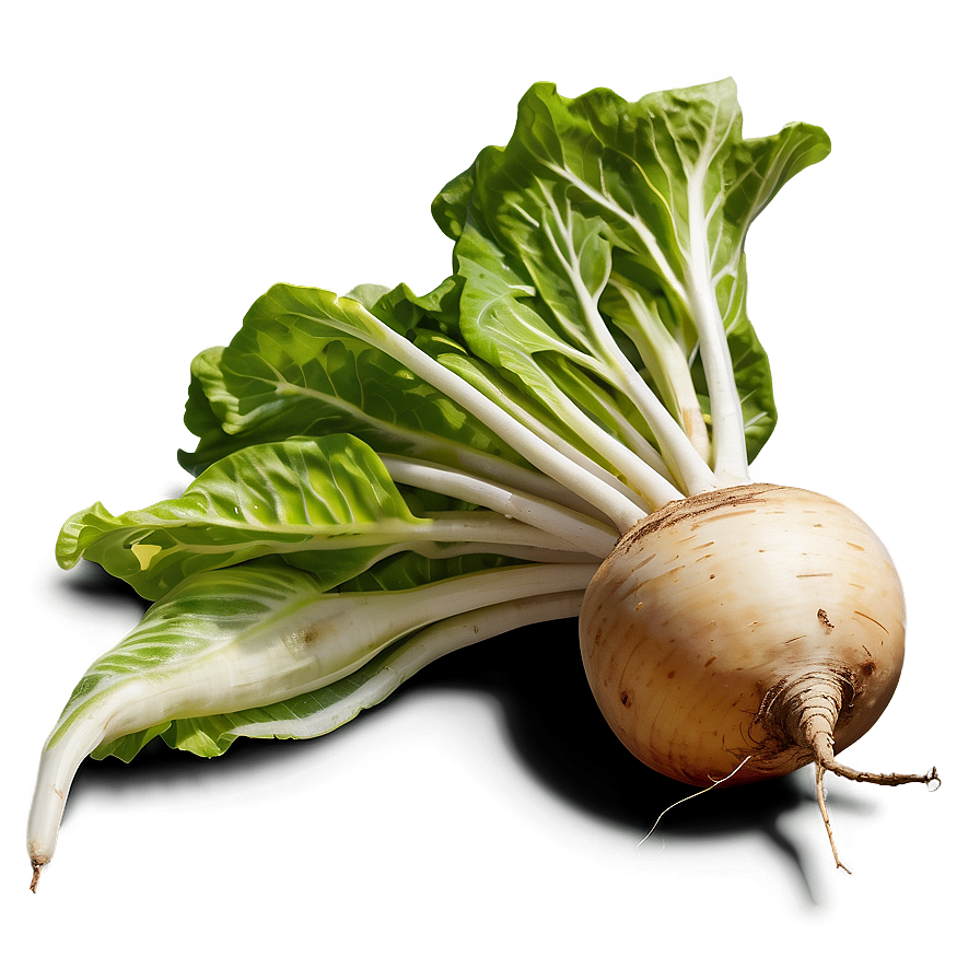 Turnip Vector Png Yws88 PNG Image