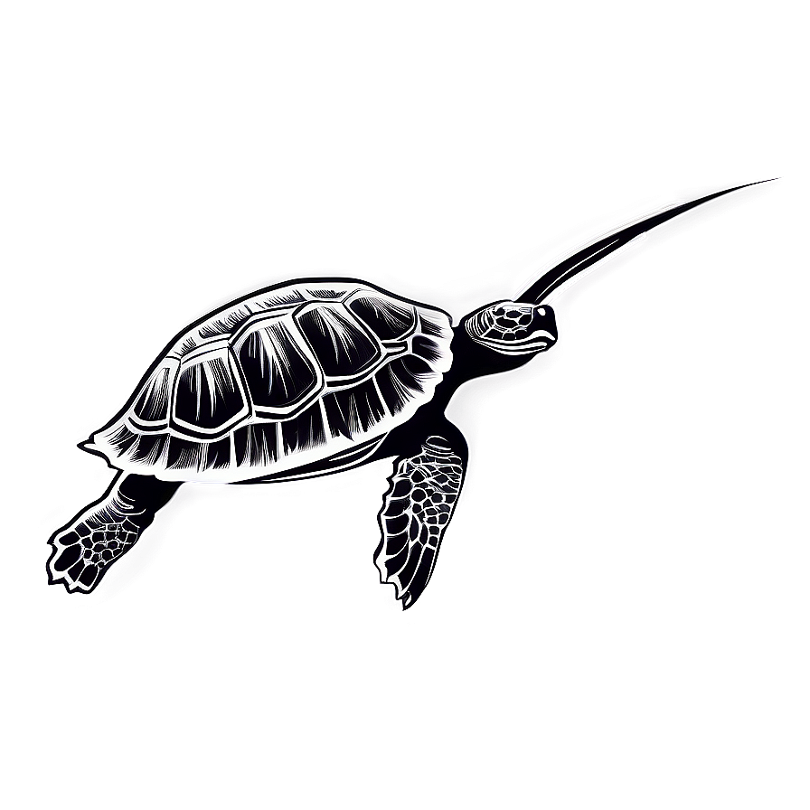 Turtle Silhouette Graphic Png Klo PNG Image