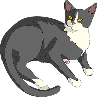 Tuxedo Cat Illustration PNG Image