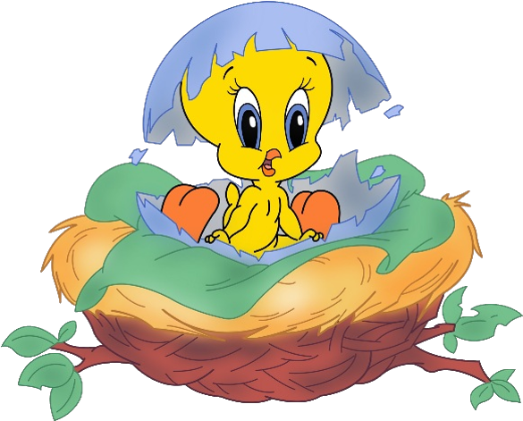 Tweety Bird Hatchingfrom Egg PNG Image