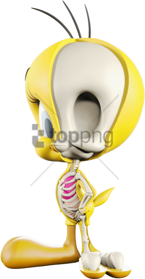 Tweety Bird Skeleton Reveal PNG Image