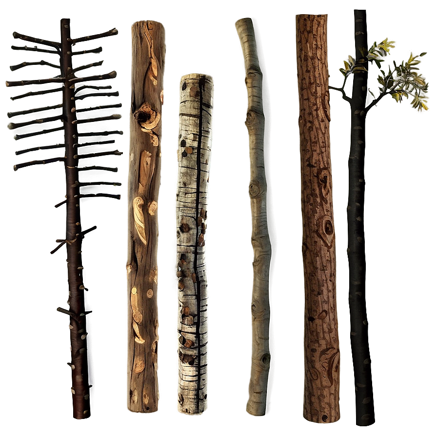 Twigs And Sticks Png Ojo PNG Image