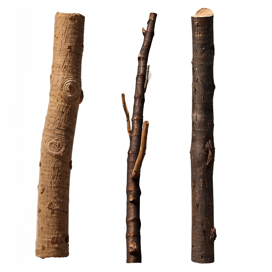 Twigs And Sticks Png Xbk PNG Image