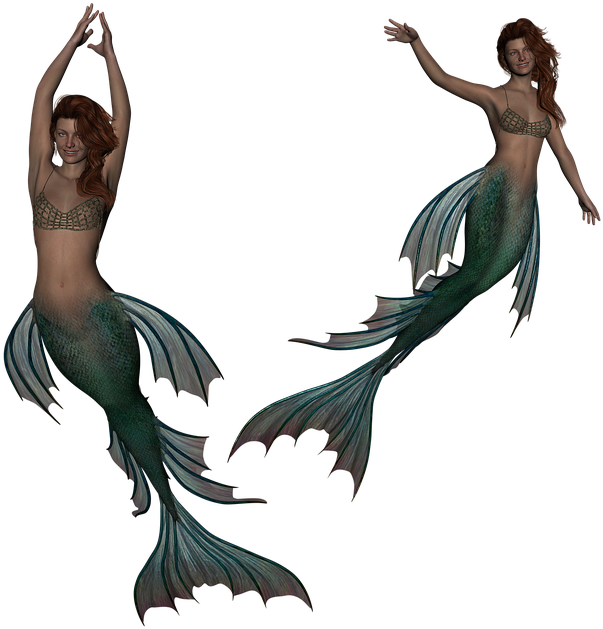 Twin Mermaids Illustration PNG Image