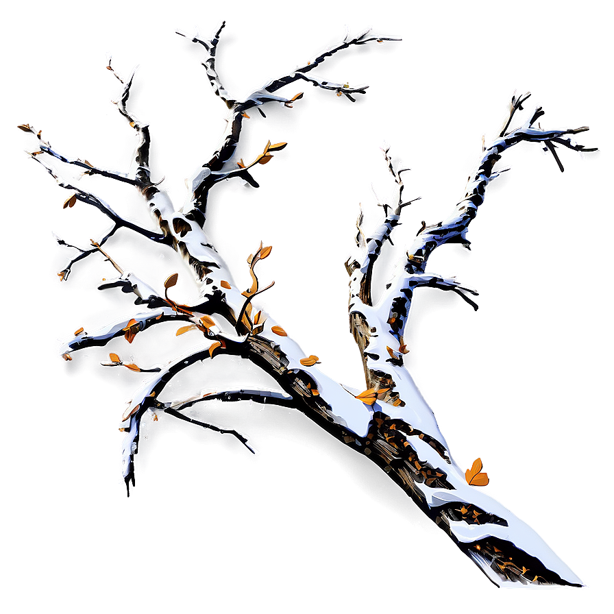 Twisted Tree Branches Png Uav57 PNG Image