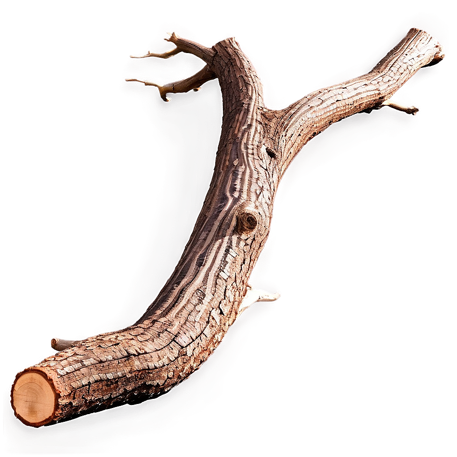 Twisted Tree Trunk Png Wji PNG Image