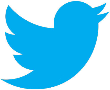 Twitter Bird Logo Blueon Grey PNG Image