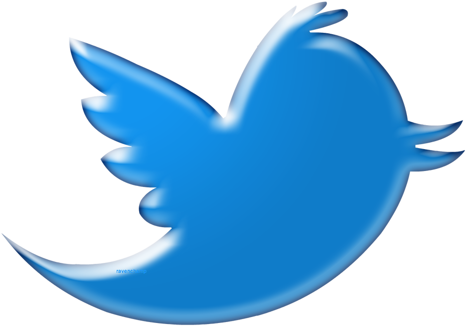 Twitter Logo Blue Bird PNG Image