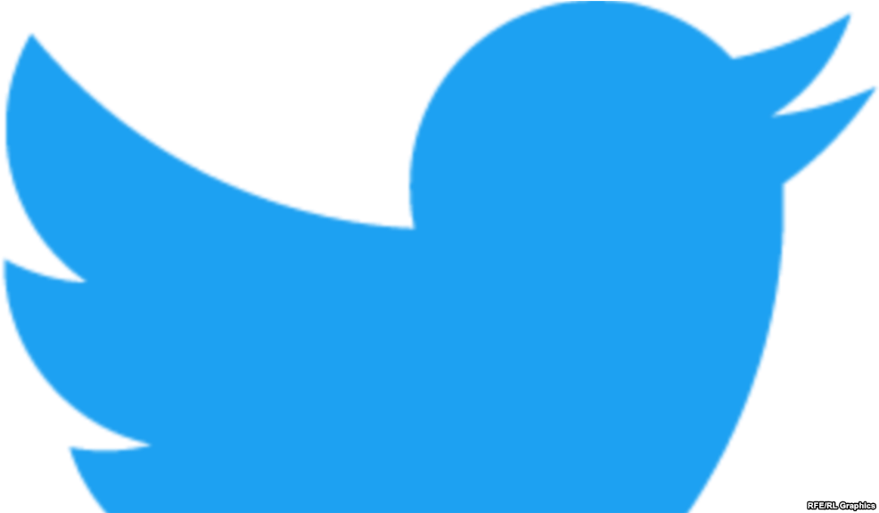 Twitter Logo Blue Bird Silhouette PNG Image