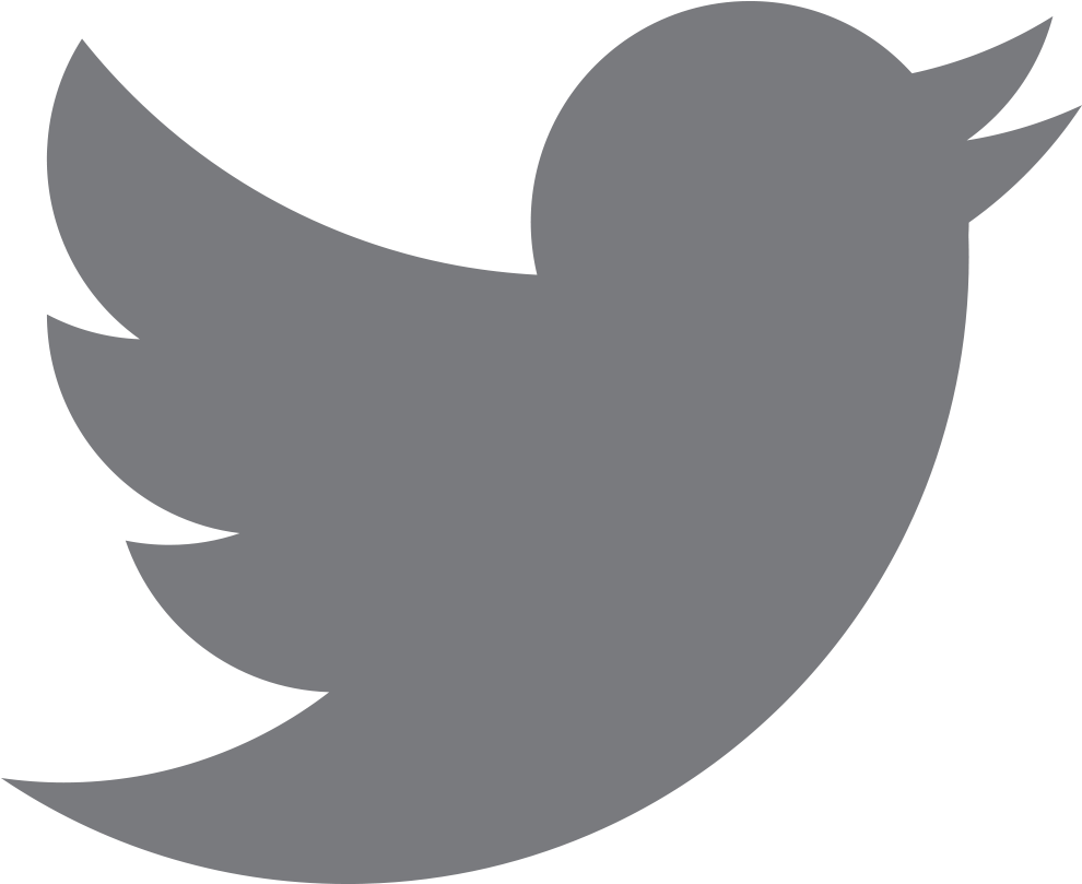 Twitter Logo Icon PNG Image